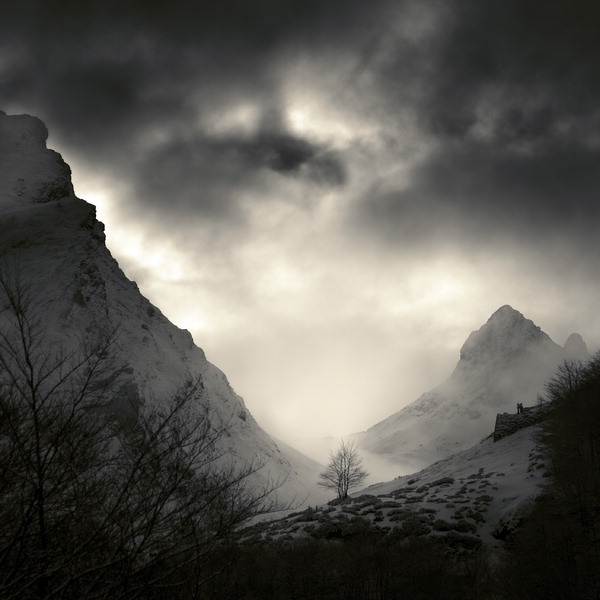 Protected Vertigo by Denis Olivier