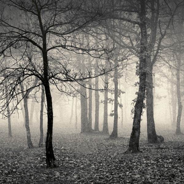 Delusion Of Divine by Denis Olivier