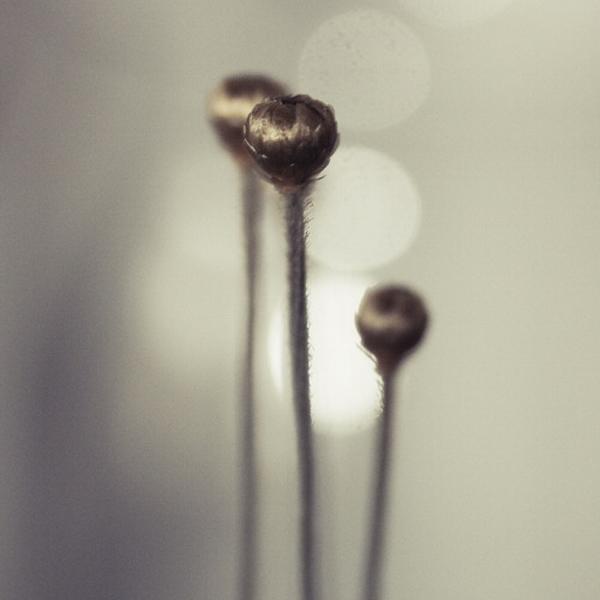 3 par Marianne Le Carrour