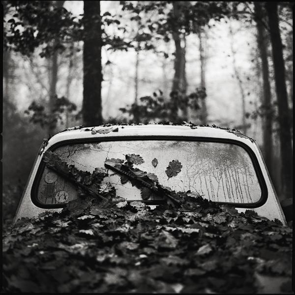 Autumn by Jib Peter