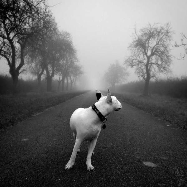 One Way by Martine Fassier