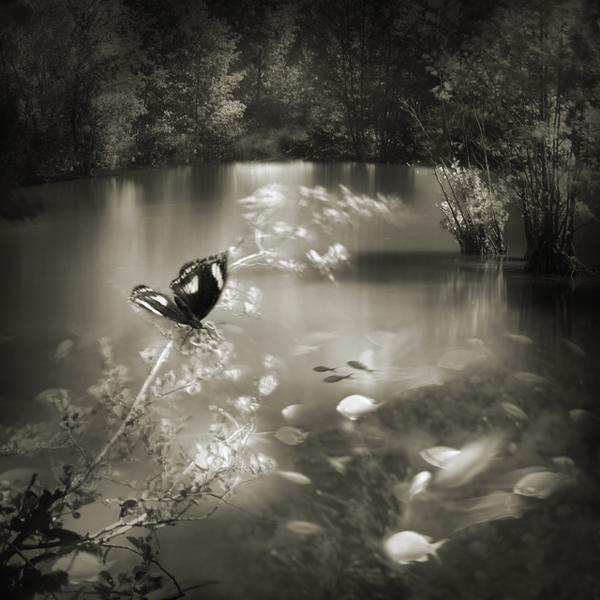 Ailleurs IX by Marie-claude Strausz