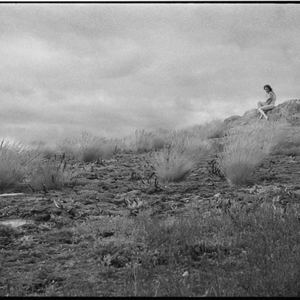 Land Art #1 by Pierre S.