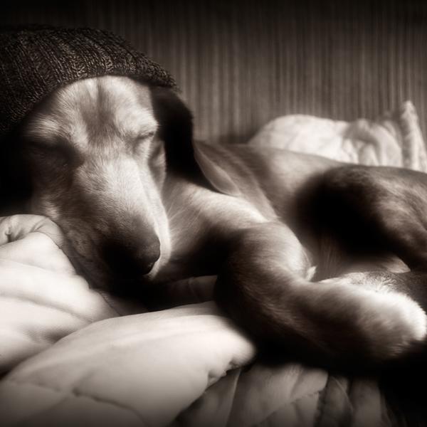 after a long walk by Denis Grzetic