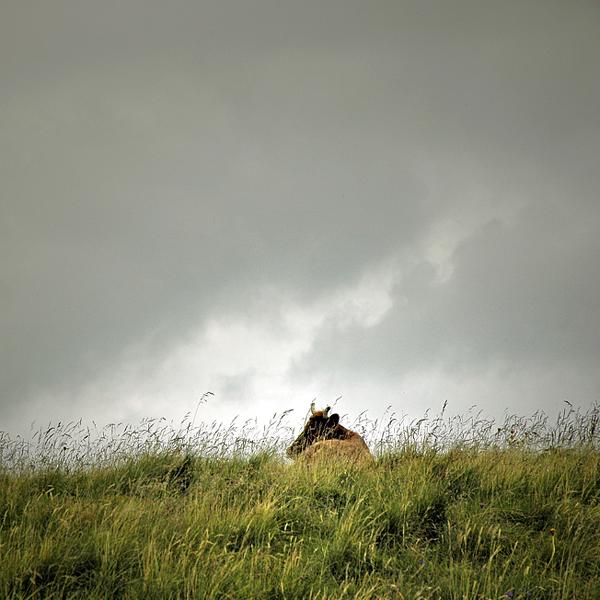 Spirit by Bruno Blais