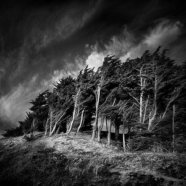 Trails of Wind by Bruno Mercier
