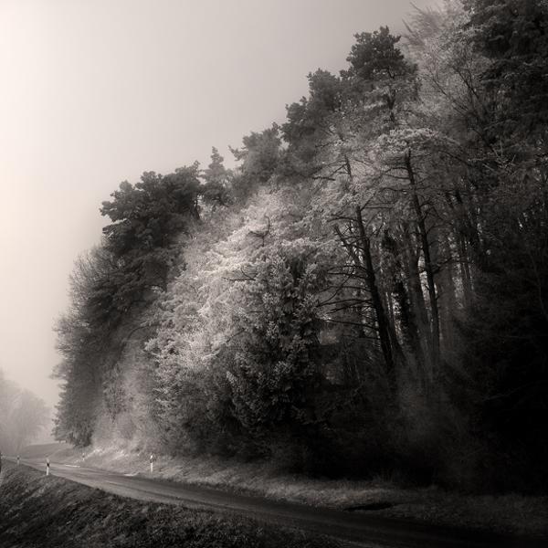Hivernal by Philippe Mougin