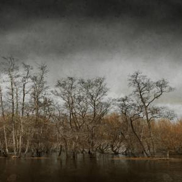 Floodwaters by Mark Hamilton