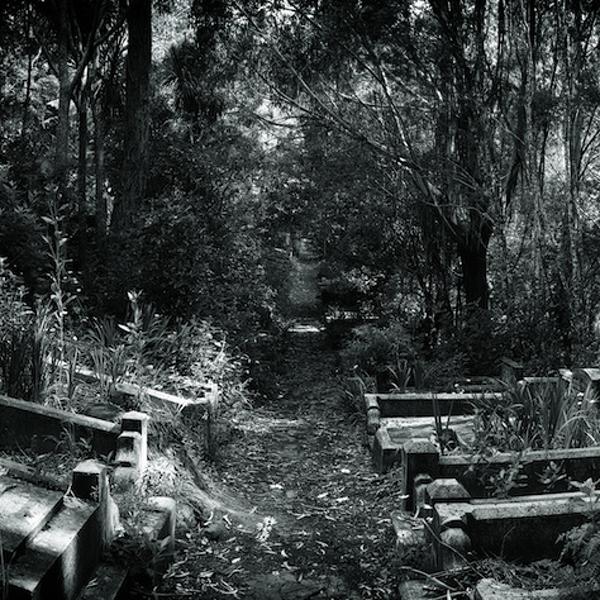 Karori II by Mark Hamilton
