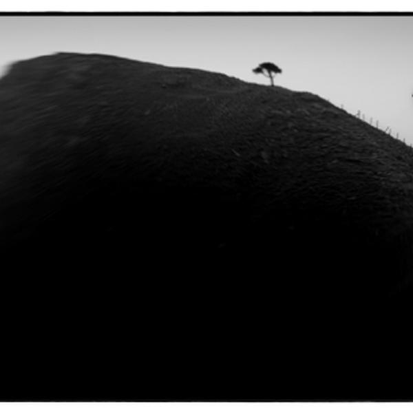 back tor by Steve Deer