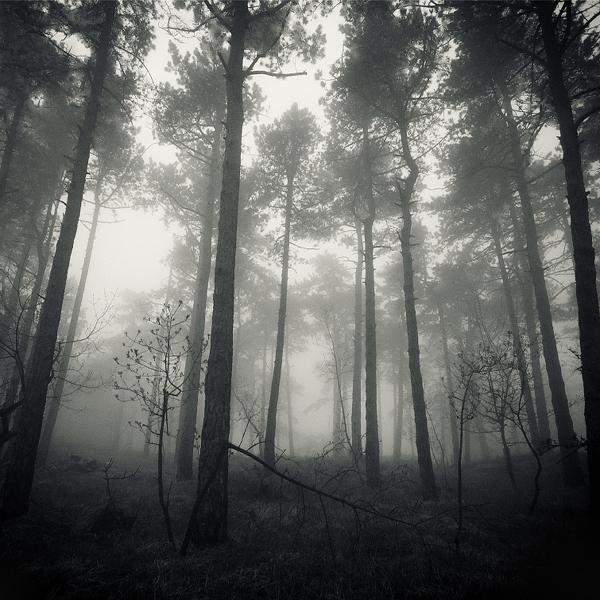 Untitled by Branislav Fabijanic