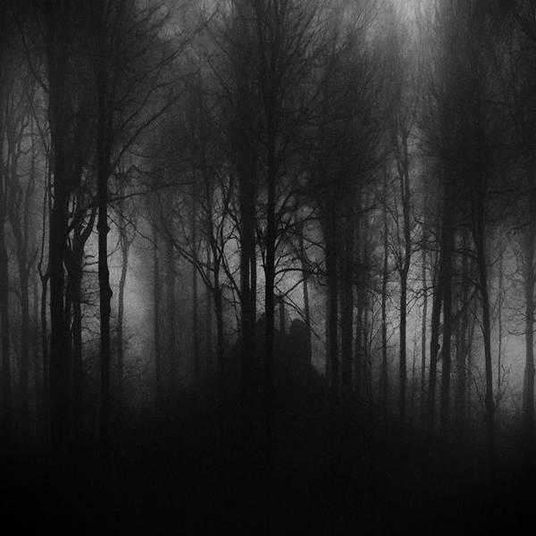 Untitled by Branislav Fabijanic