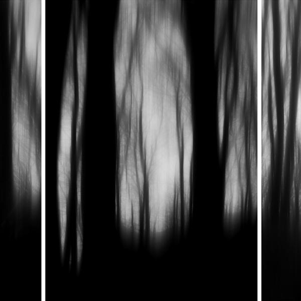 Morning Poetry by Branislav Fabijanic