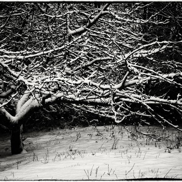 Winter by Thierry Magniez