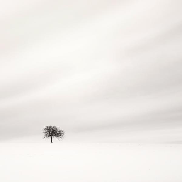 In the Fields.. by Serdar Akin