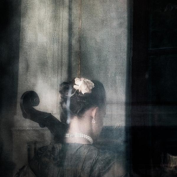 Window by Klas Falk