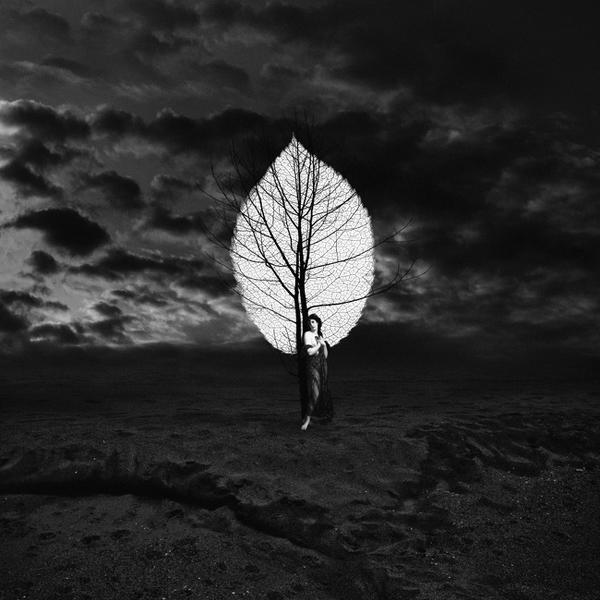 Sans Titre by Patrick Gonzal&egrave;s