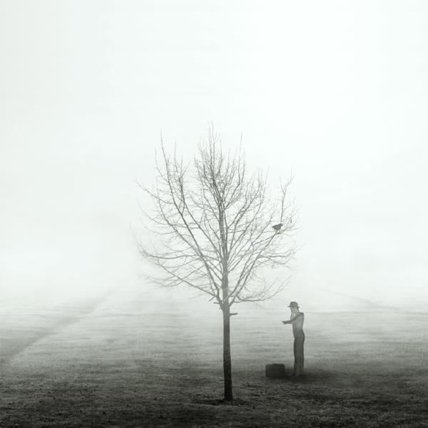 Sans titre by Patrick Gonzal&egrave;s