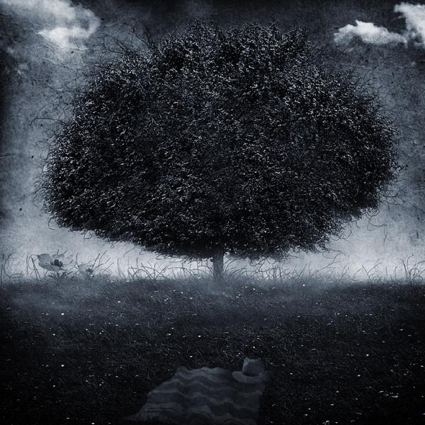 Sans titre by Patrick Gonzal&egrave;s