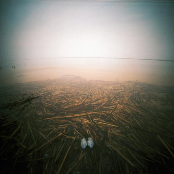Untitled by Witold Mackow