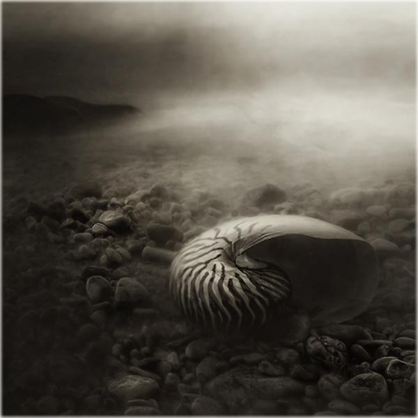 Dead And Lovely by Biserko Fercek