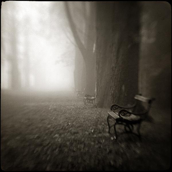 fog I by Sasa Lazic