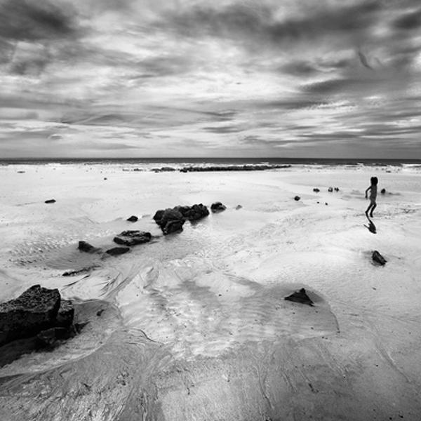Juste One Little Bird by Sylvain Lagarde