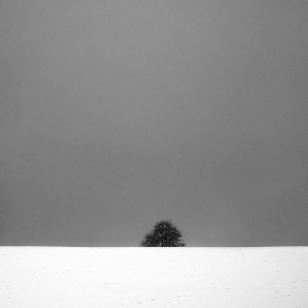 Inception by Sylvain Lagarde