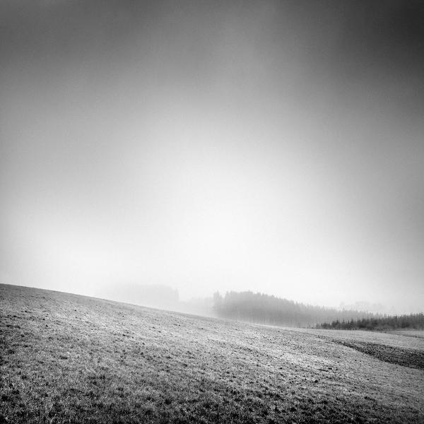 Traumnovelle Des Nebels Chap 27 by Sylvain Lagarde
