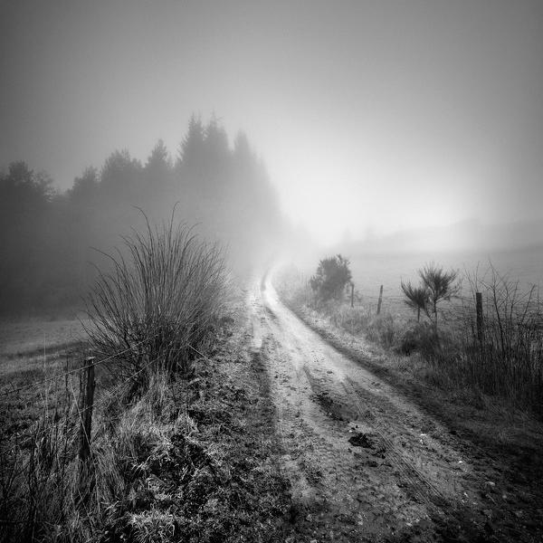 Traumnovelle Des Nebels Chap 28 by Sylvain Lagarde