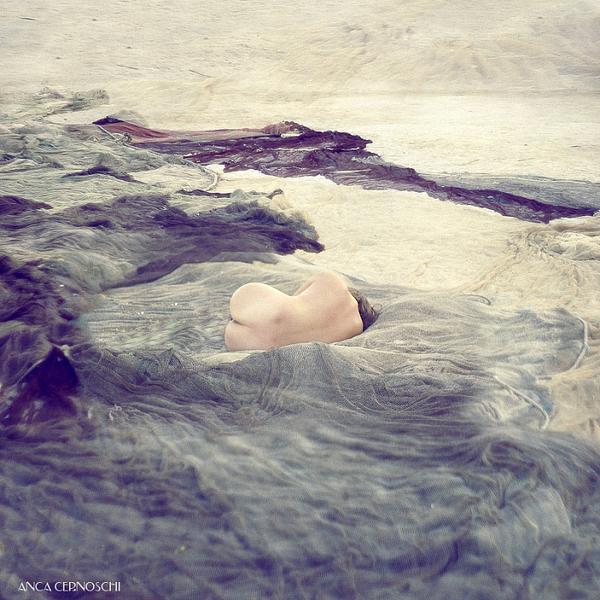 Waves by Anca Cernoschi