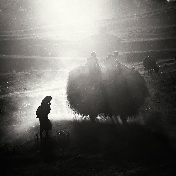 Country side by Bogdan Panait