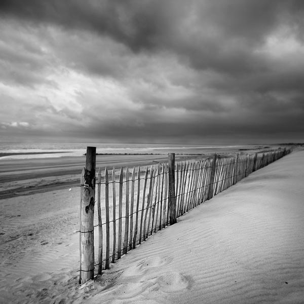 West Wind by Laurent Dudot