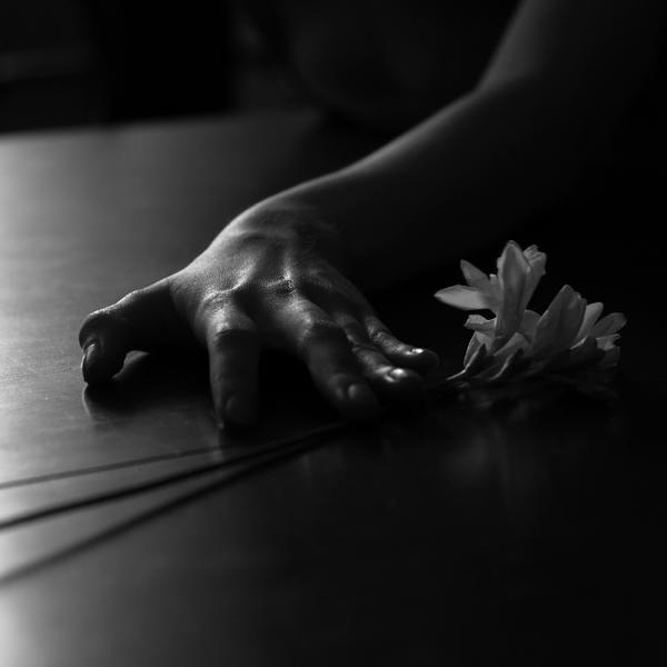 Dying freesia by Cristina Pascu