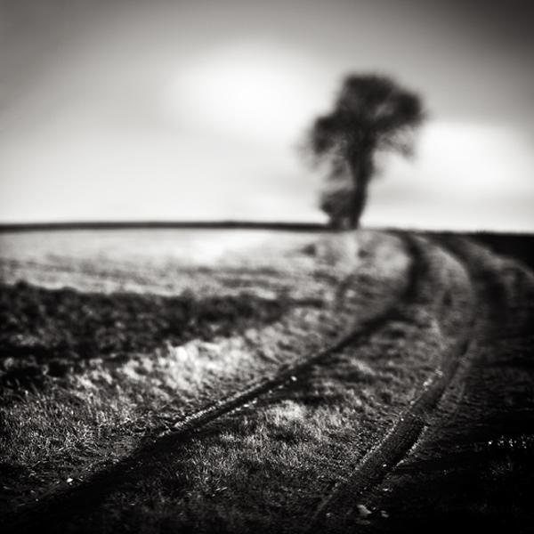 Dancer In The Field by Laurent Miaille