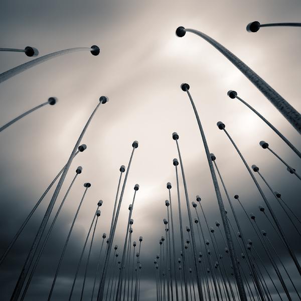 Future Flowers II by Alper &ccedil;ukur