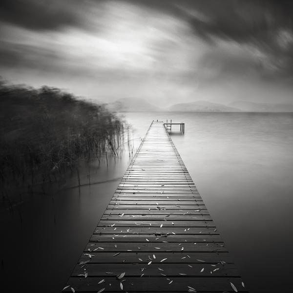 Rain by Alper &ccedil;ukur