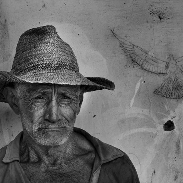 Old Divine by Luciano Klaus