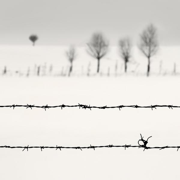 private life.. by Nilgun Kara