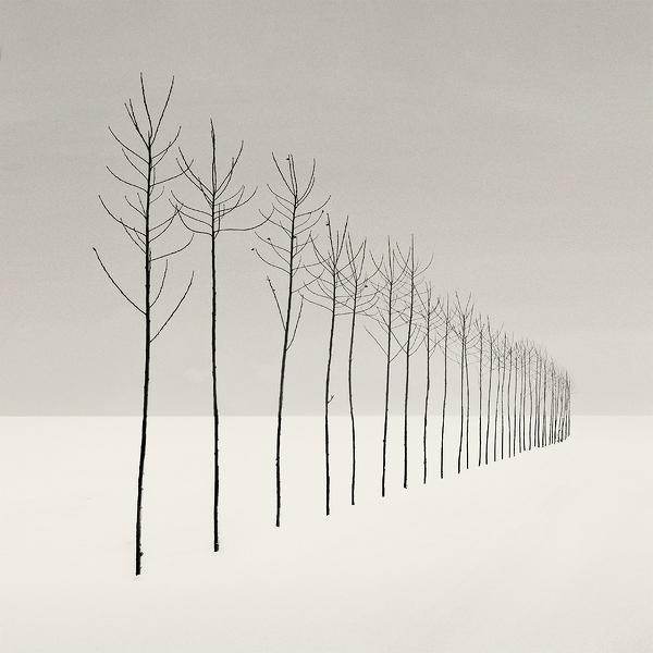 s l e n d e r s by Nilgun Kara
