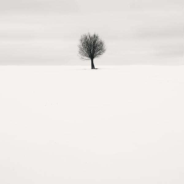 left outside alone by Nilgun Kara