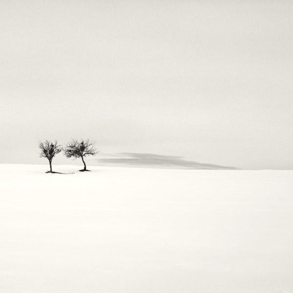 first turns.. by Nilgun Kara