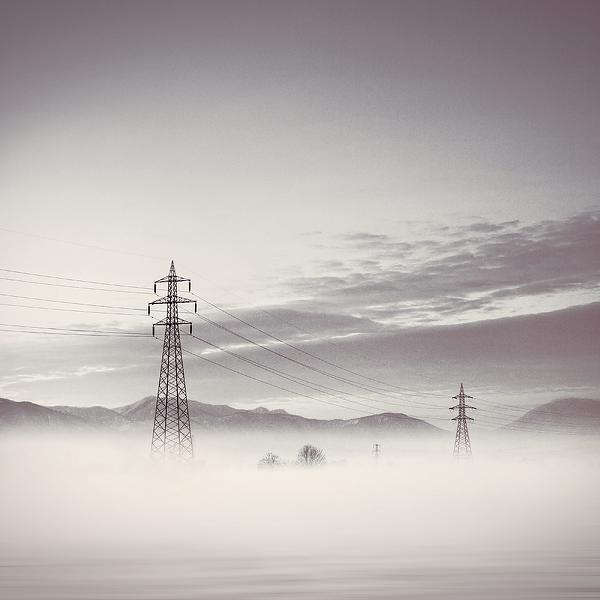 The Guardians.. by Nilgun Kara