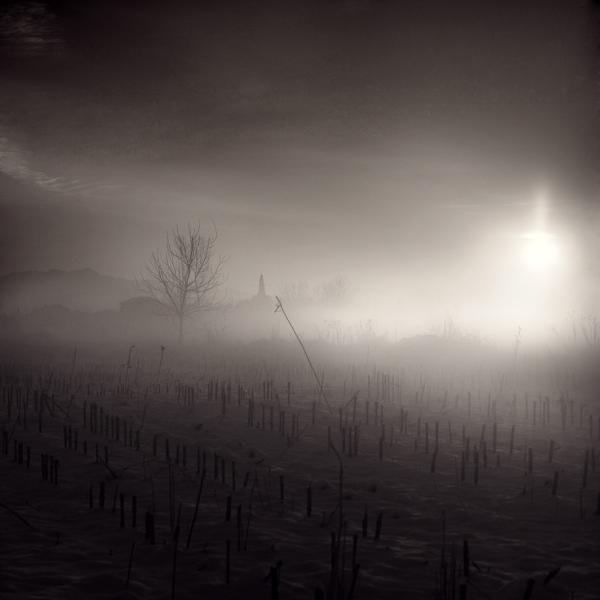 rays of hope by Nilgun Kara