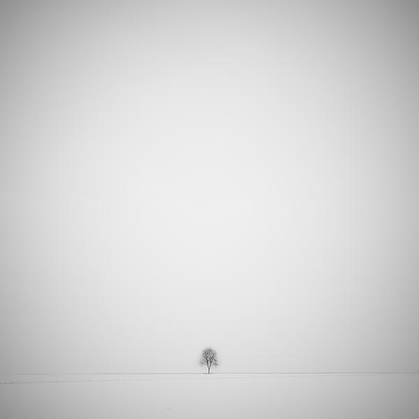white immensity by Dino Lupani