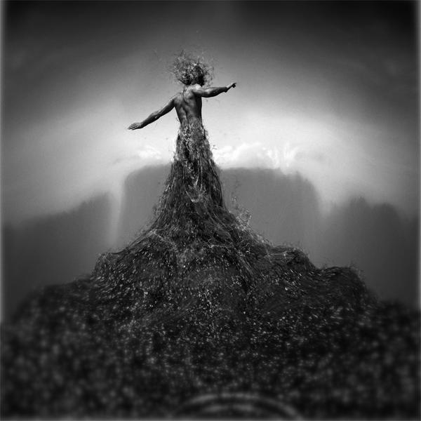 Root In by Omer Chatziserif