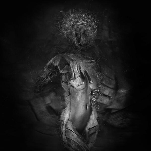 Confused Unity by Omer Chatziserif