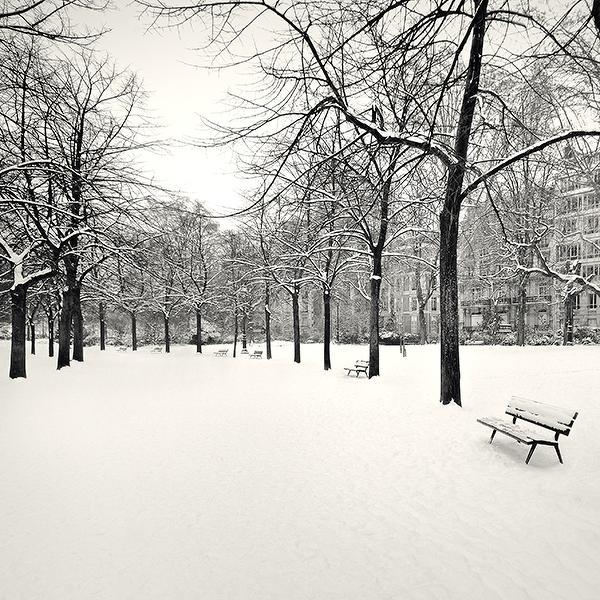 Six Snow Covered Benches by Damien Vassart