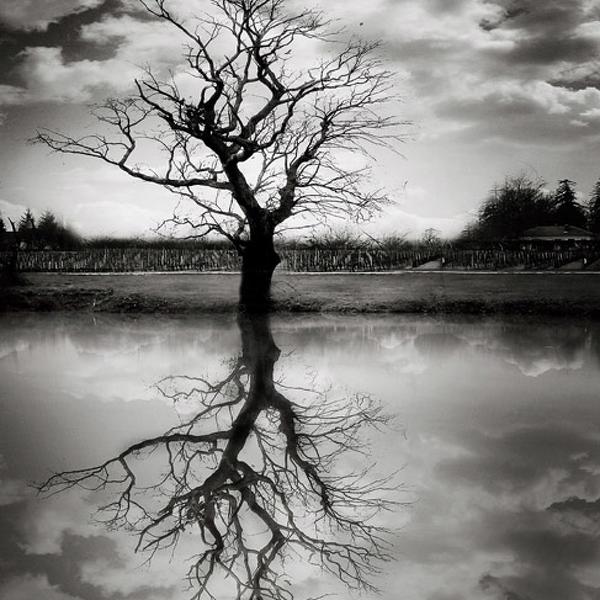 hiver by Pascal Fallot