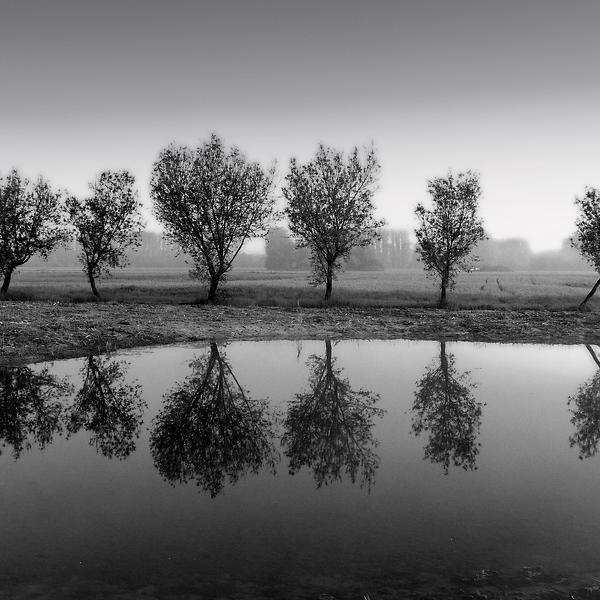 Balance | #4 by Uwe Bachmann